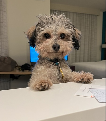 Hank, HR, employee of Kappus Well Pump & Water System Services "The Pump Man"